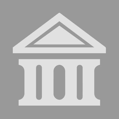 PROFESSIONAL UNDERWRITER